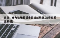 青岛：参与这场救援市民请就地静止(青岛紧急救援)
