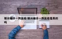 银川确诊一例鼠疫:银川确诊一例鼠疫是真的吗