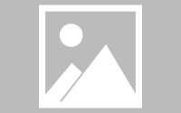 新发地确诊 新发地确诊人数