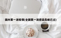 国内第一波疫情(全国第一波感染高峰已过)