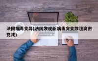 法国病毒变异(法国发现新病毒突变数超奥密克戎)