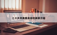 二十大中央委员会的简单介绍