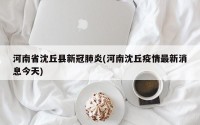 河南省沈丘县新冠肺炎(河南沈丘疫情最新消息今天)