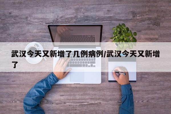 武汉今天又新增了几例病例/武汉今天又新增了